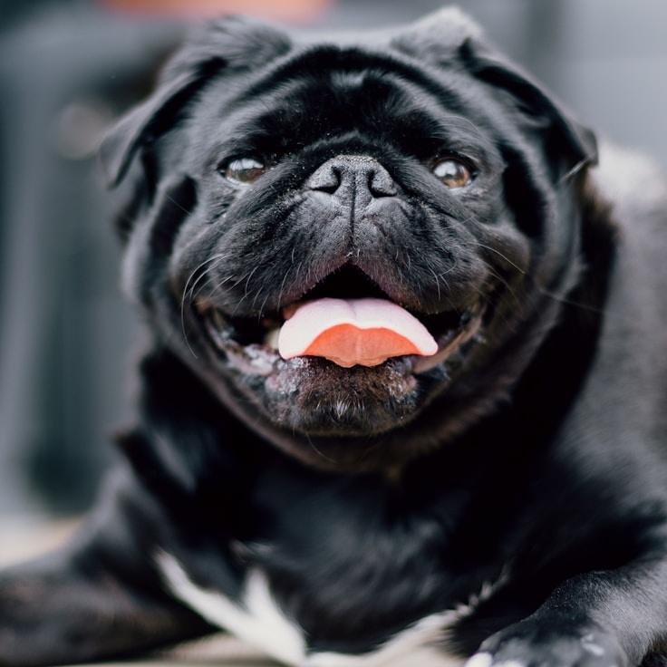 Portrait of Alex meditation instructor